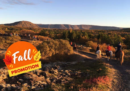 Cover image for the Lava Tour - Horseback Riding through the Lava Fields experience