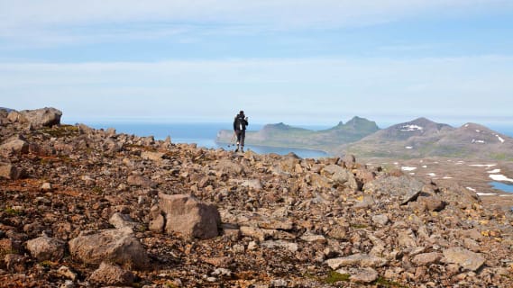 Cover image for the Hornvík Heights and Sights experience