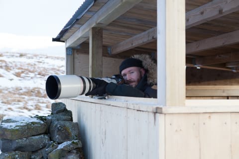 Cover image for the Winter Arctic Fox Photography in Kvíar Lodge experience