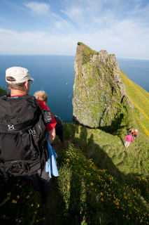 Cover image for the Lost Fjords experience