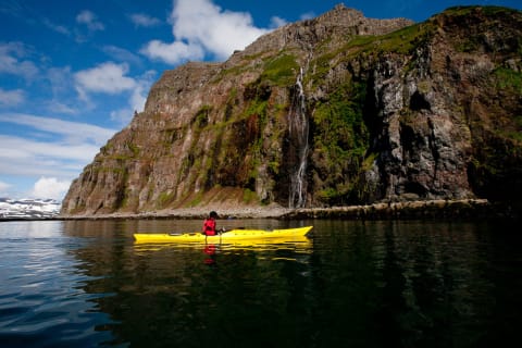 Cover image for the Glacier Fjords Kayaking experience