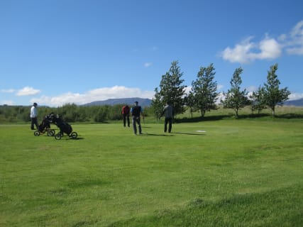 Cover image for the Tilboð í gistingu og golf fyrir 8 - 16 manna hópa experience