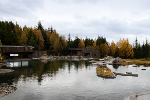 Cover image for the Golden Circle and Laugarás Lagoon Birki Admission experience