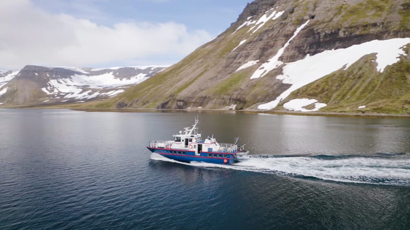 Product image for Boat ride: From Ísafjörður to Veiðileysufjörður