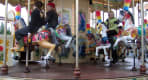 Thumbnail about Reykjavik Zoo and Family Park