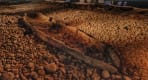 Thumbnail about The Settlement Exhibition