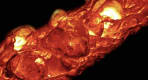Thumbnail about null