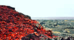 Thumbnail about null