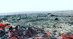 Thumbnail about null