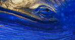 Thumbnail about null
