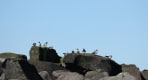 Thumbnail about null