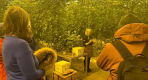 Thumbnail about Fridheimar, green house