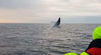 Thumbnail about null
