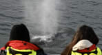 Thumbnail about null