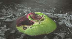 Thumbnail about null