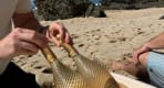 Thumbnail about null