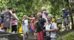 Thumbnail about A large crowd of sightseers group at the Annandale waterfall