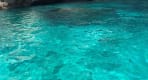 Thumbnail about Pristine nature