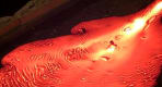 Thumbnail about A close-up image of molten lava flowing across a dark sandbed, showing glowing orange textures, swirling lines, and bubbles as the lava spre