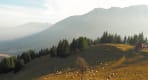 Thumbnail about Sheep in the Carpathian Mountains!