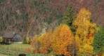 Thumbnail about Wildlife in mountain villages!