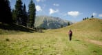 Thumbnail about Piatra Craiului National Park