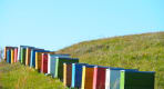 Thumbnail about Bee hives in Magura village