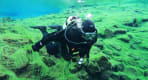 Thumbnail about Diver in algae forest