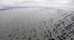 Thumbnail about patterns of the river deltas