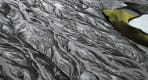 Thumbnail about patterns of the river deltas
