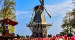 Thumbnail about The famous windmill of the Keukenhof park