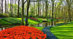 Thumbnail about Keukenhof park