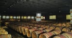 Thumbnail about Adega Quinta da Bacalhôa - Red and white wine aging