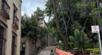 Thumbnail about San Miguel de Allende preserves areas where nature and historic architecture coexist in balance