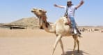 Thumbnail about Safari, Hurghada