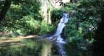 Thumbnail about Close view of waterfall flowing into a calm green pool surrounded by trees