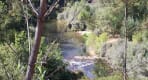 Thumbnail about View of the Paiva River seen through pine trees with people swimming near a small river beach in Arouca.