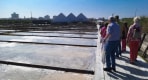 Thumbnail about Guided visitors walking beside reflective Aveiro salt pans and wooden paths