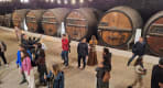 Thumbnail about Quinta da Pacheca wine cellar in the Douro Valley with large wooden barrels, visitors, and warm string lights