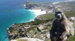 Thumbnail about cape of good hope private tour in a private car