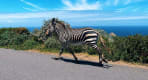 Thumbnail about null