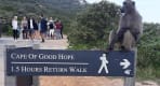 Thumbnail about Cape point