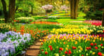 Thumbnail about Gardens in the Keukenhof park