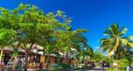 Thumbnail about Praia do Forte Village