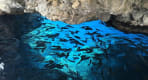 Thumbnail about The Caves of Paleokastritsa