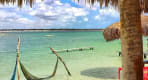 Thumbnail about null