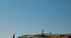Thumbnail about null