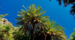 Thumbnail about null