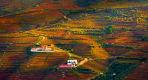 Thumbnail about Beautiful View