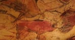 Thumbnail about Altamira Neocave